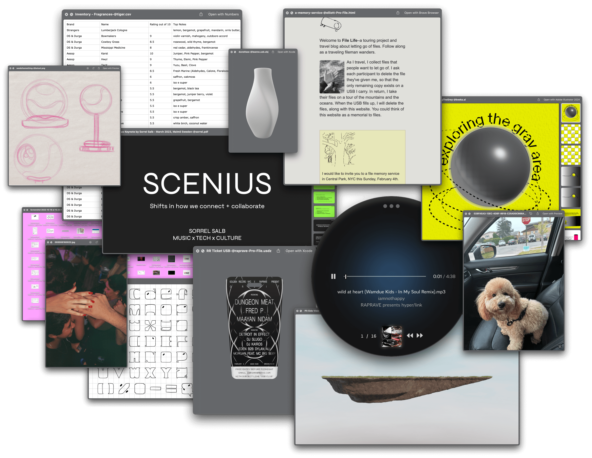 A collage of shared file types